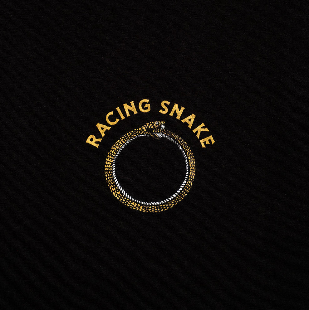 Racing Snake