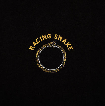 Racing Snake
